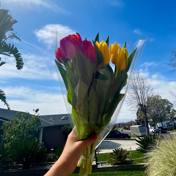 Meet your Posher, Carlee - Picture 1 of 1